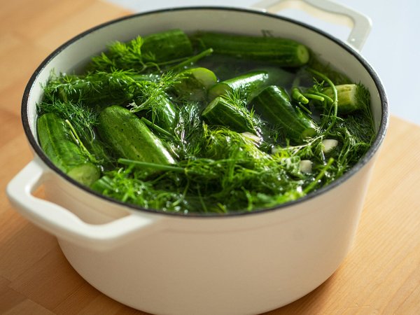 Effective Strategies to Combat Soil Erosion in Your Sloped UK Garden